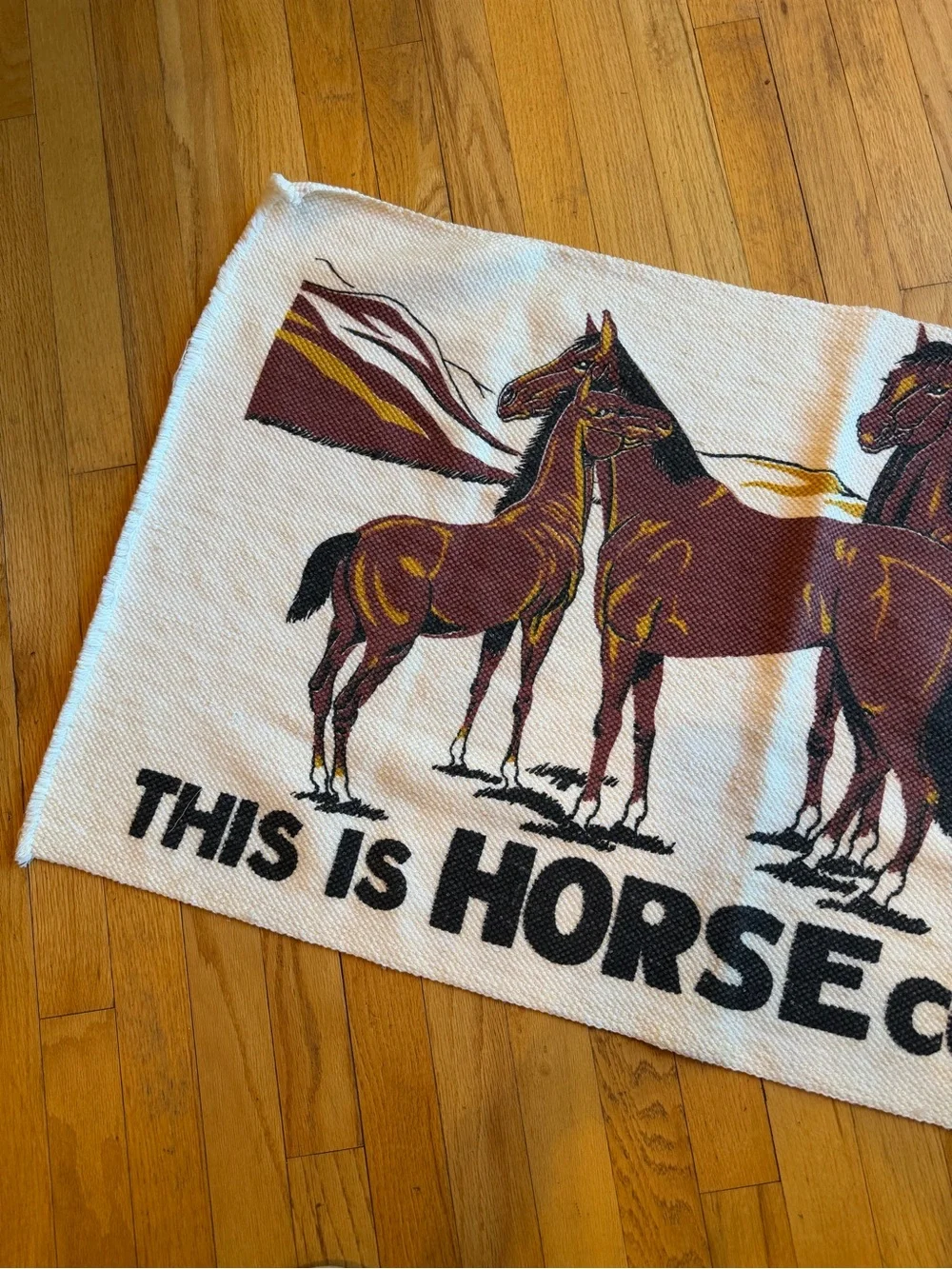 Graphic Horse Country Rug - Three Horses Design